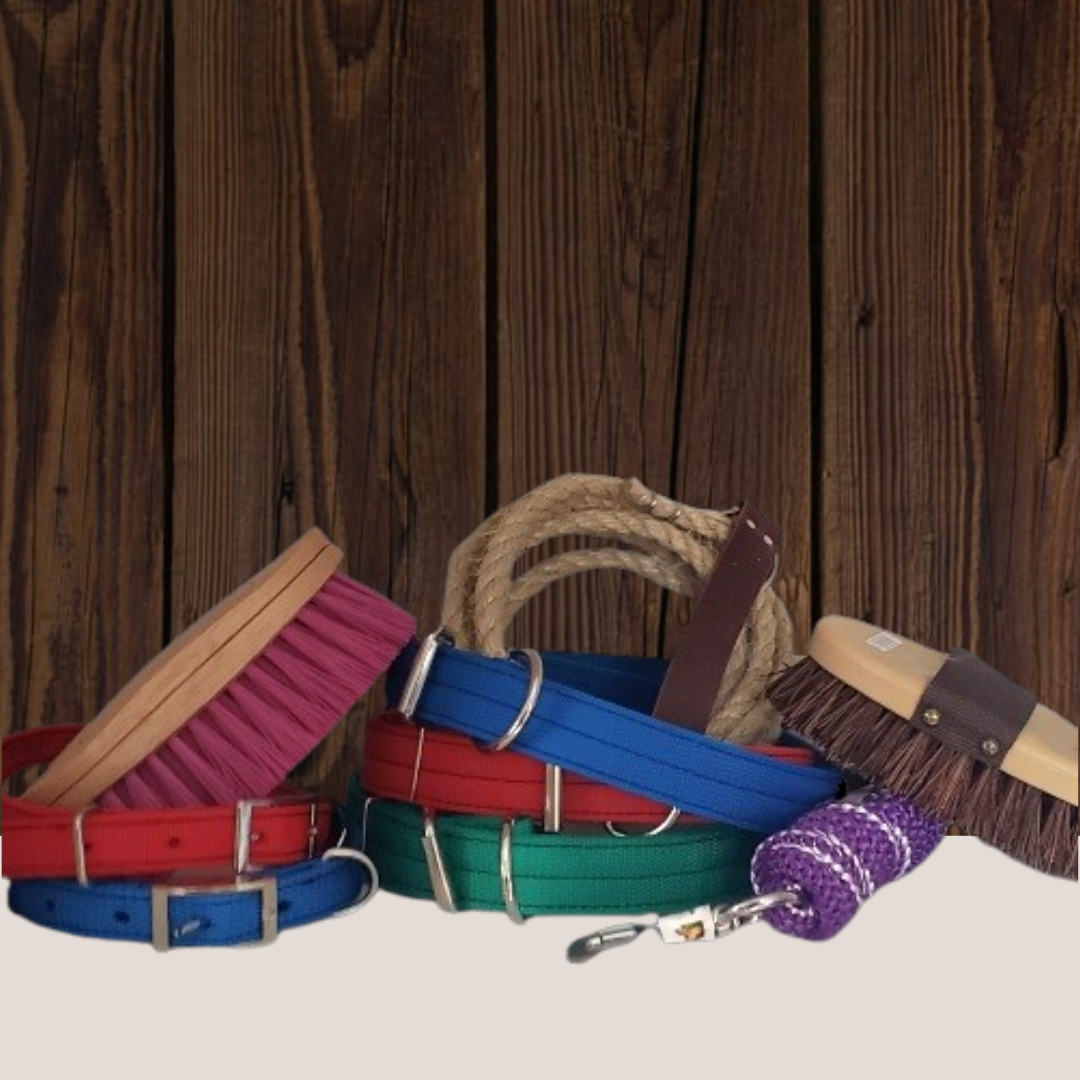 Collars, Leads & Brushes