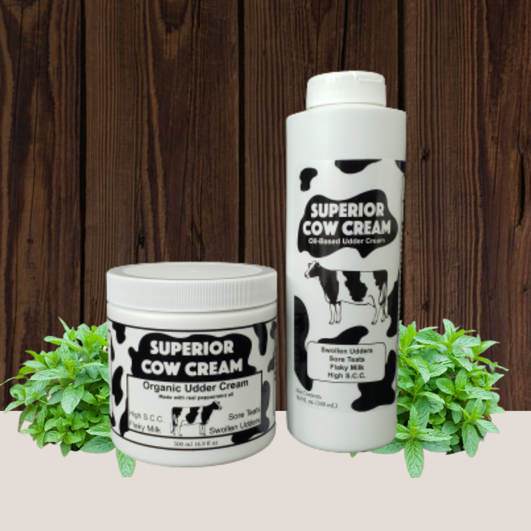 Superior Cow Cream
