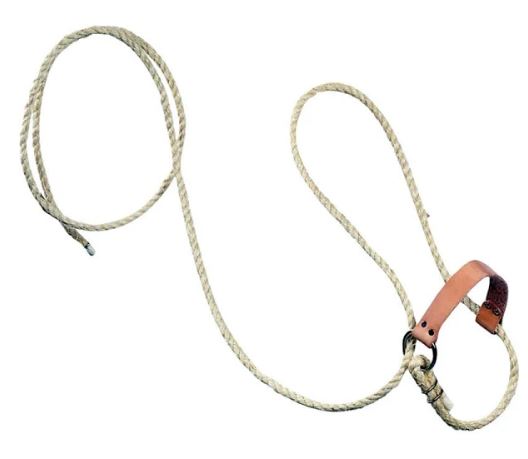 Rope Halter w/Lead