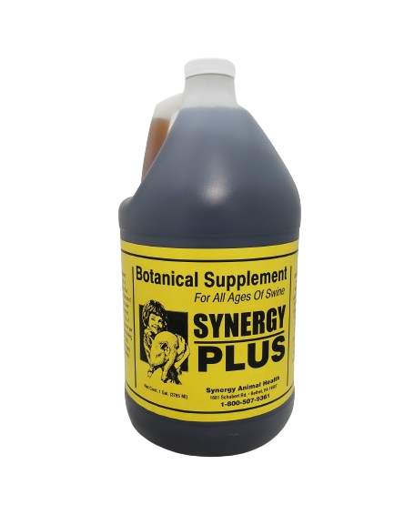 Synergy Plus