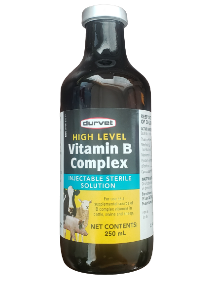 High Level Vitamin B Complex