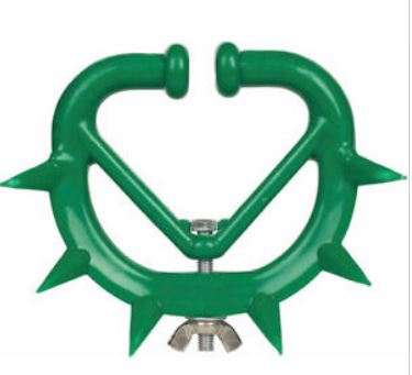 Spiked Calf Weaning Ring