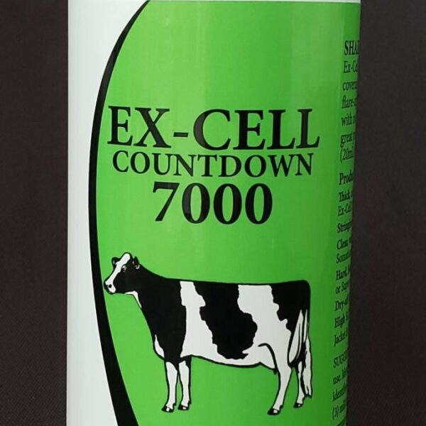 Ex-cell Countdown 7000