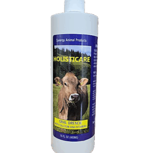 Holisticare